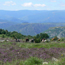 Promenade  cheval et poneys - Montselgues - Ardche