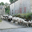 Promenade  cheval et poneys - Montselgues - Ardche